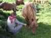vacances famille pyrenees pleine nature chevaux